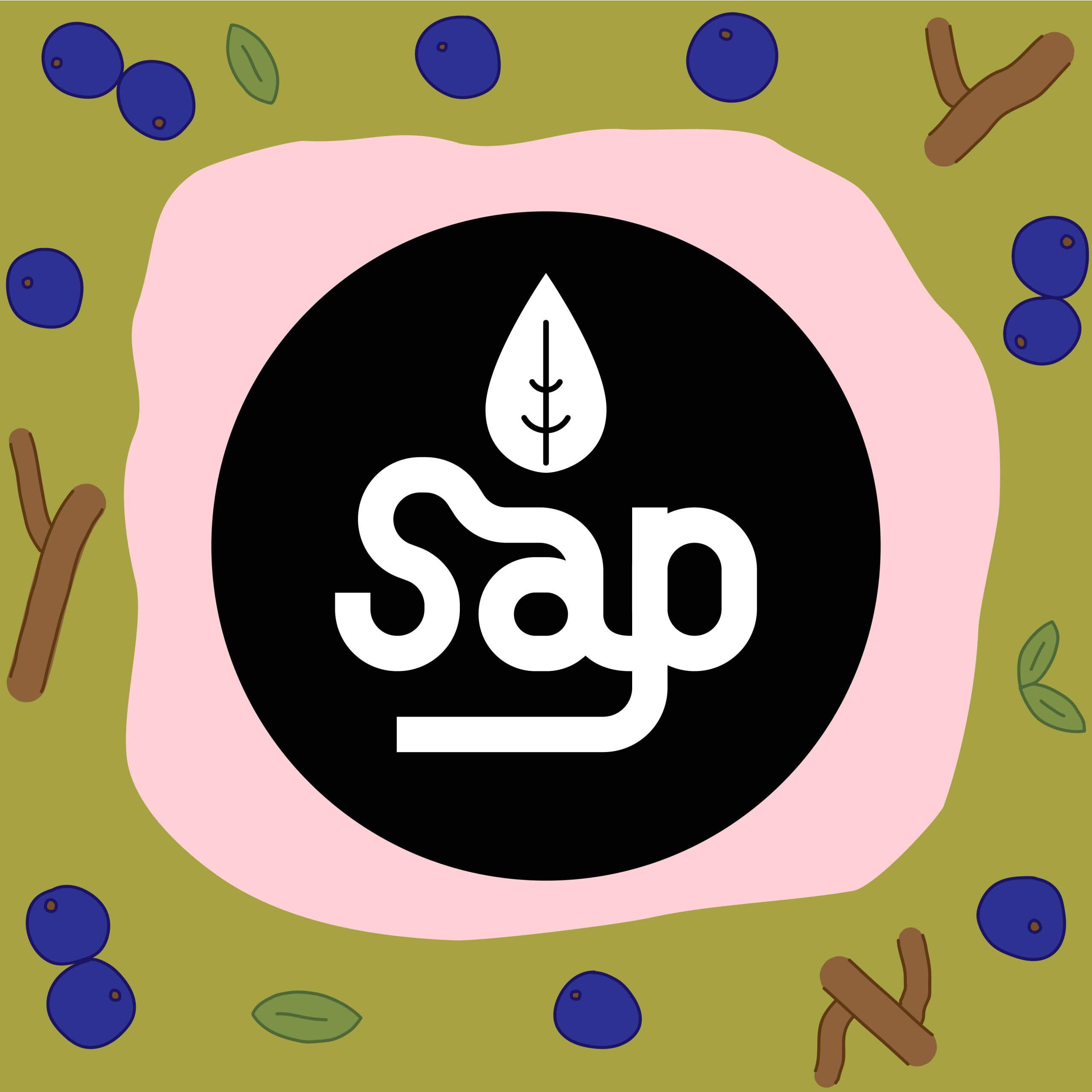 sap video